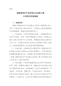 湖南省知识产权优势企业培育工程