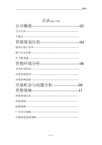 阿迪达斯(adidas)营销方案