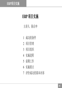 陈启申 ERP 项目实施