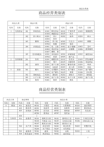 连锁超市商品分类明细表