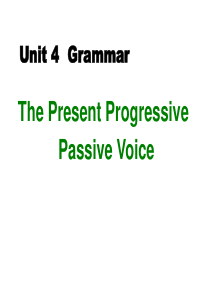 人教版必修2-unit4-Wildlife-protection--P4-Grammar-(共PPT