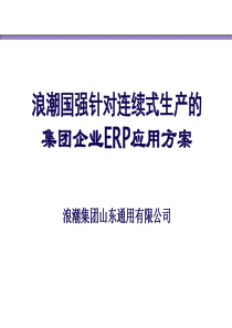 集团企业ERP应用方案