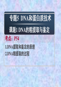 选1-5-1DNA的粗提取和鉴定.