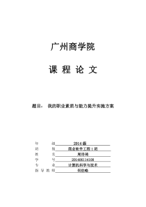 我的职业素养与能力提升实施方案