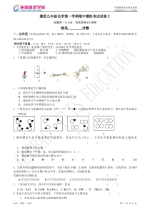 雅思九上上学期化学期中模拟试卷2