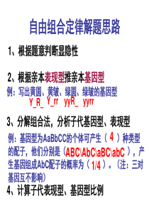 高一生物必修二自由组合定律解题