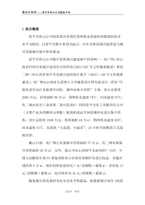 集中供热商业计划书