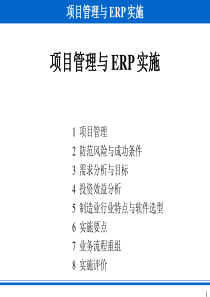 项目管理与erp实施