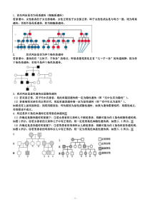 遗传图解的判断及习题