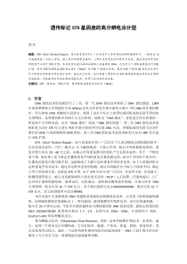 遗传标记STR基因座的高分辨电泳分型