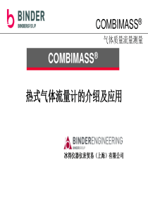 COMBIMASS气体流量计(sales)