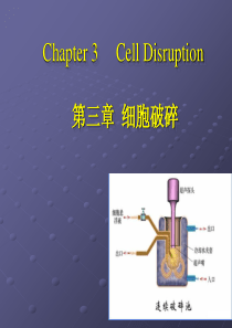 生化分离工程_苏海佳_第三章细胞破碎