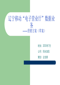 辽宁移动电子营业厅数据业务传播方案0715