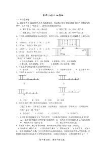 选修3专题1-基因工程单元测试题修改