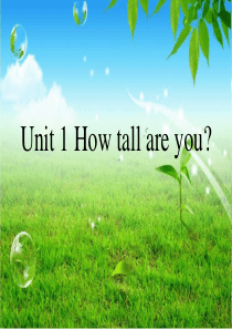 how-tall-are-you教学课件