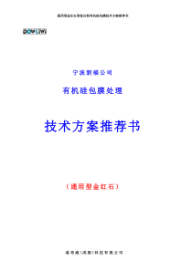 通用型金红石有机处理技术方案书