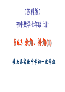 6.3余角、补角、对顶角(1).