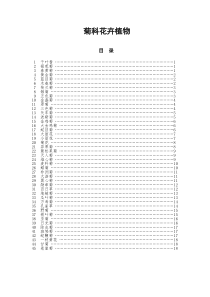 菊花品种分类