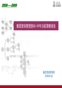 营销管理部08-09功能策略报告.