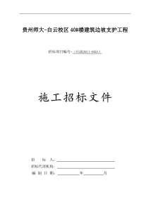 【优质】金沙地质灾害项目招标文件