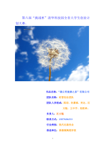 蒲公英健康之家有限公司创业书