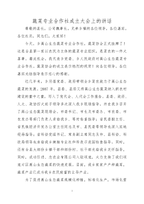 蔬菜专业合作社成立大会上的讲话