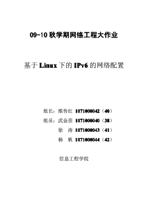 秋学期网络工程大作业