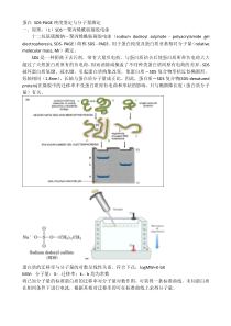 蛋白SDS-PAGE纯度鉴定与分子量测定