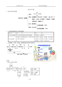 蛋白质复习专题