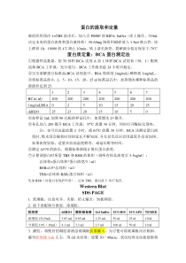 蛋白含量测定及western步骤