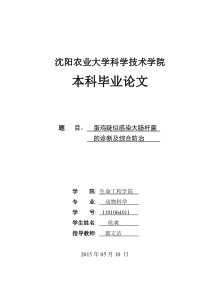 蛋鸡疑似感染大肠杆菌的诊断和综合防治