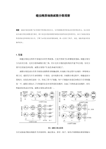 蝗虫精原细胞减数分裂观察