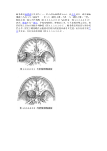 蝶骨嵴脑膜瘤切除术重点参考文献1