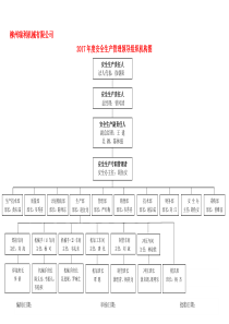 安全生产组织机构图