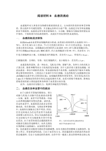 血液的流动