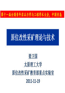 原位改性采矿理论与技术-20111118