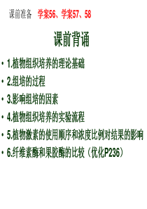 课件40一轮复习专题4《酶的研究与应用》.