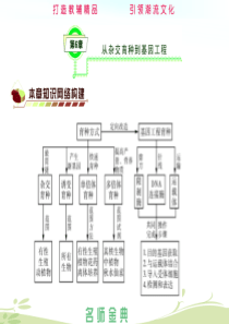 第6章从杂交育种到基因工程