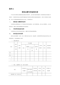 财务决算专项说明内容