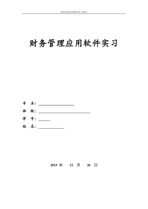 财务管理应用软件实习报告