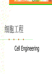 第一节细胞工程-绪论