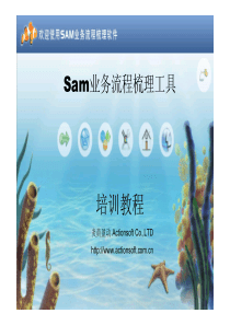 Sam业务流程梳理工具