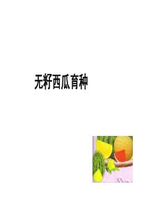 西瓜倍性育种