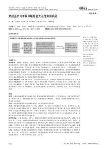 角膜基质内羊膜移植修复大泡性角膜病变