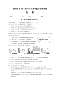 资阳市高2016届毕业班高考模拟检测试题