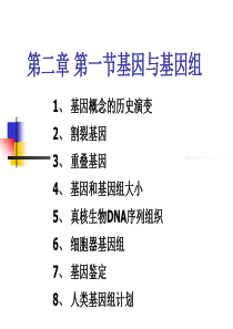 第二章 基因工程 第一节(2) 基因与基因组