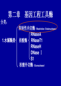 第二章基因工程工具酶