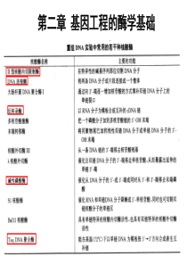 第二章基因工程的酶学基础