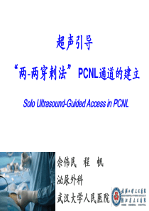 超声引导“两-两穿刺法”PCNL通道的建立.