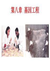 第八章基因工程